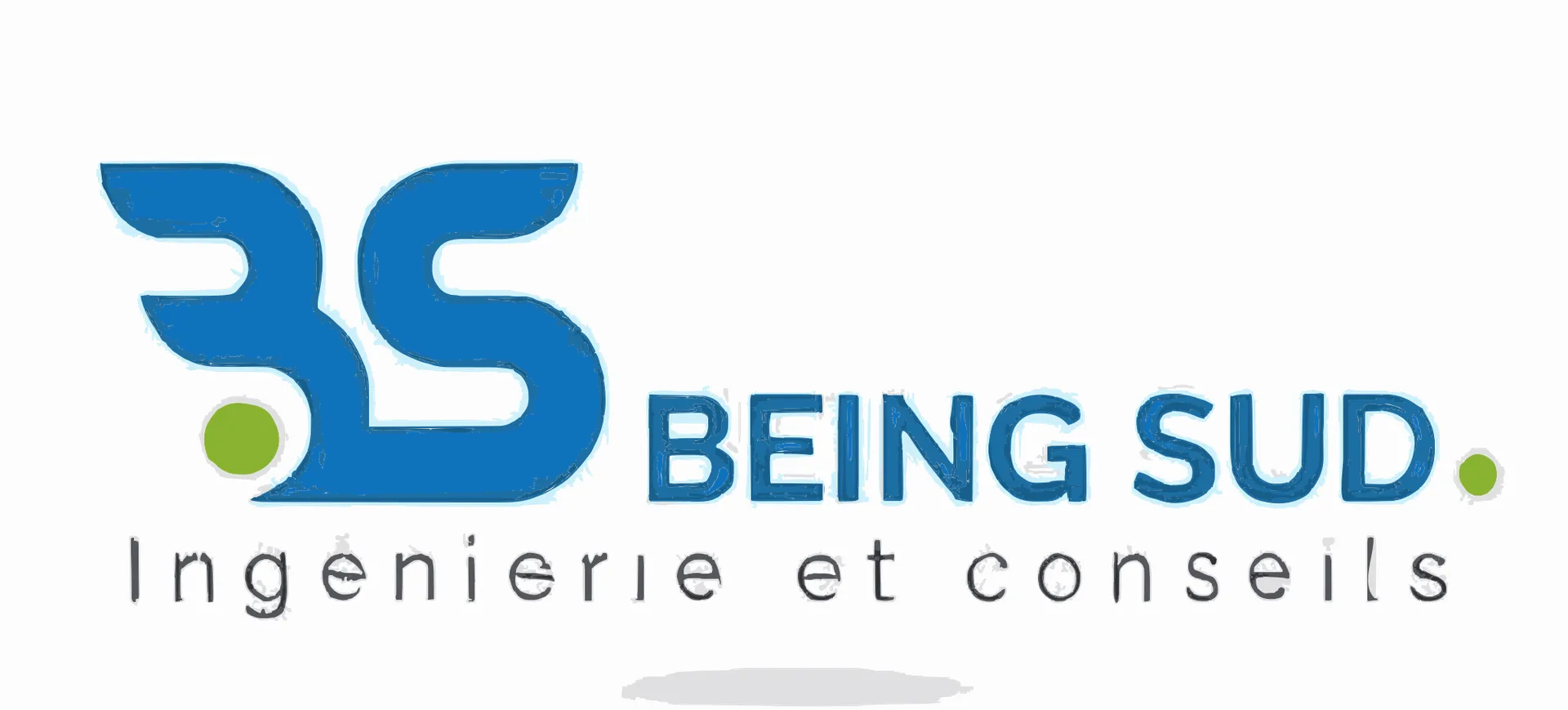 BEING SUD. — Ingénierie et conseils