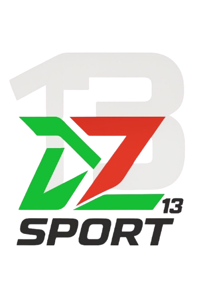 DZSPORT13.
